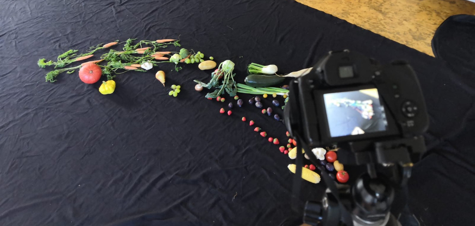 Video zur Covid-19-Pandemie